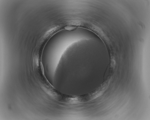 X0000111200068200907011442