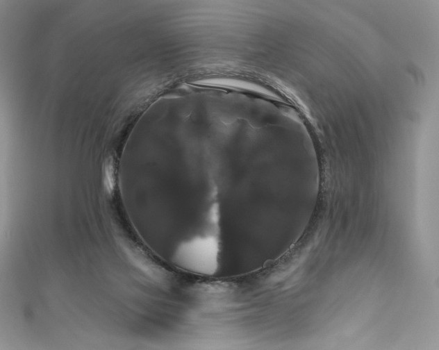 X0000111200069200907011442