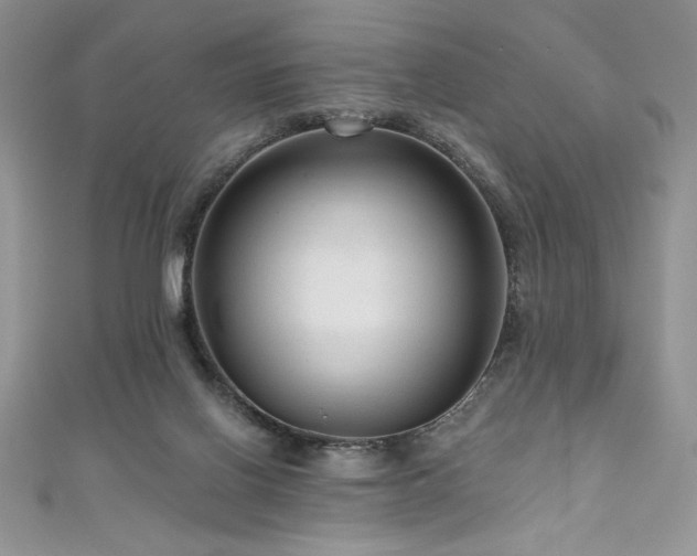 X0000111200070200907011442