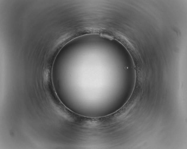 X0000111200071200907011442