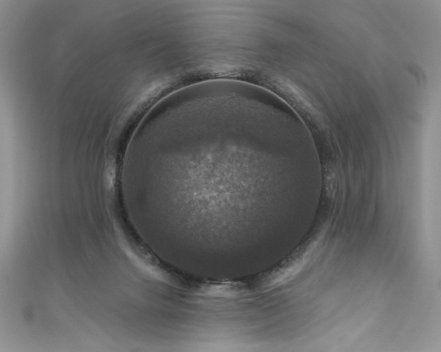 X0000111200072200907011442