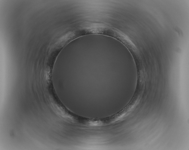 X0000111200073200907011442