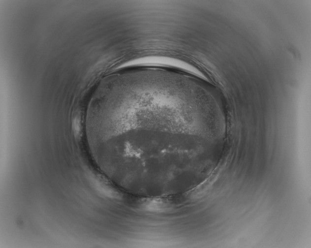 X0000111200074200907011442