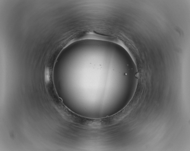 X0000111200075200907011442