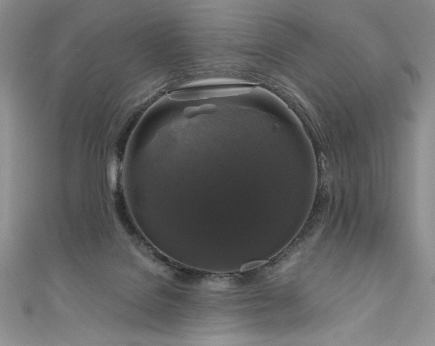 X0000111200076200907011442