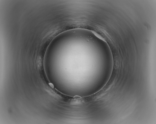 X0000111200077200907011442