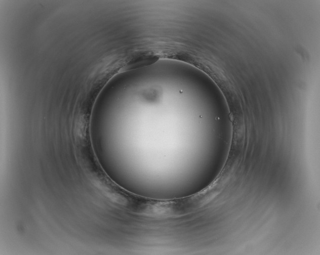 X0000111200078200907011442