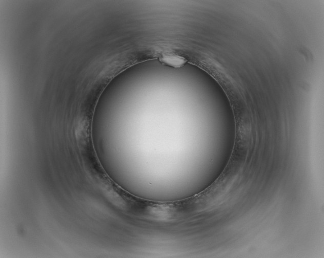 X0000111200079200907011442