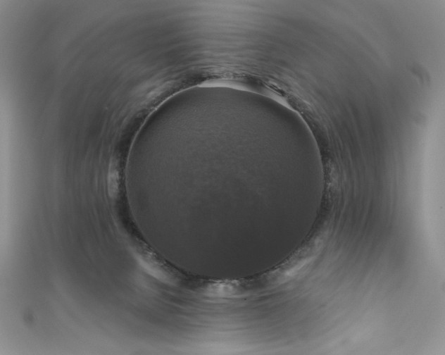 X0000111200080200907011442