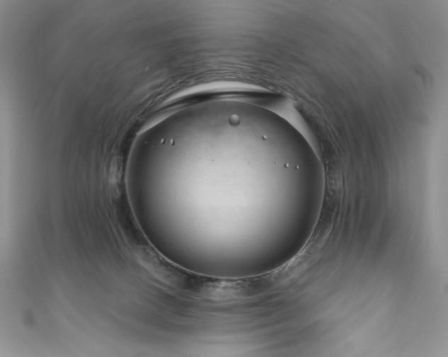 X0000111200082200907011442