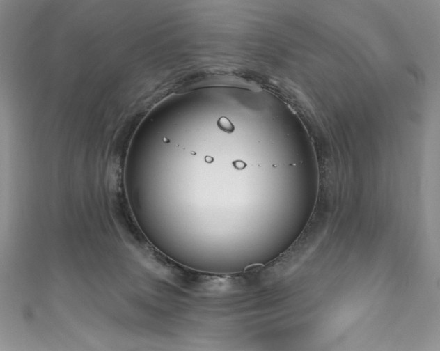 X0000111200083200907011442