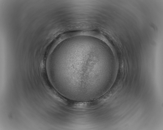 X0000111200084200907011442