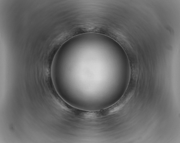 X0000111200085200907011442