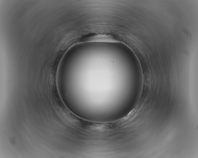 X0000111200086200907011442