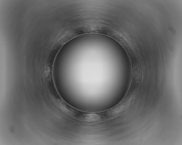 X0000111200087200907011442