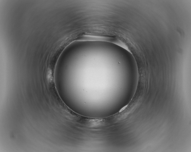 X0000111200089200907011442