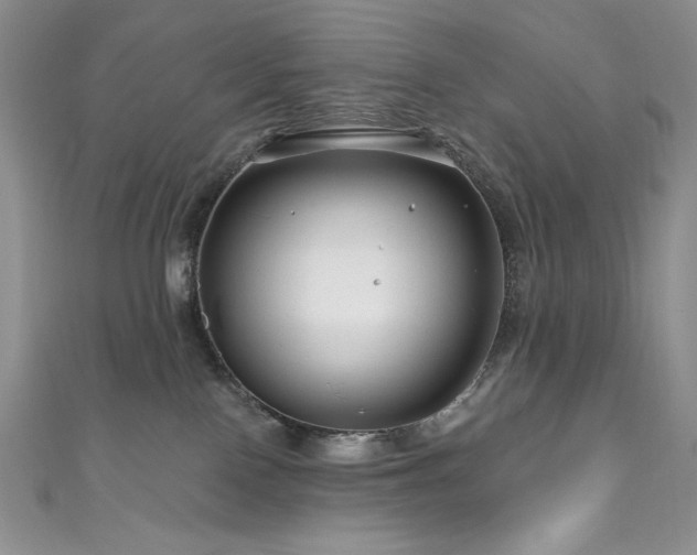 X0000111200090200907011442