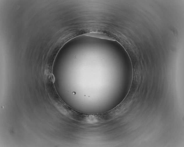 X0000111200091200907011442