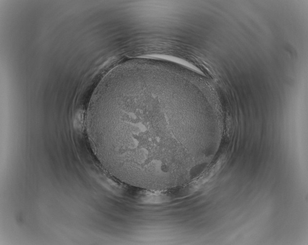 X0000111200093200907011442