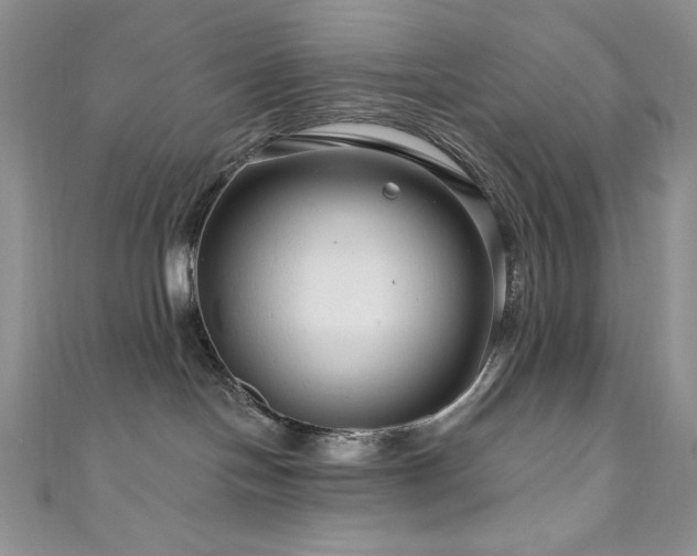 X0000111200094200907011442