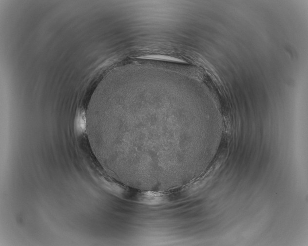 X0000111200095200907011442