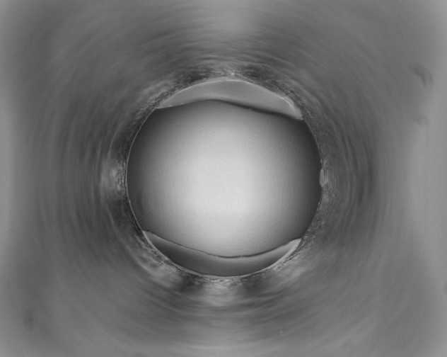 X0000111200096200907011442