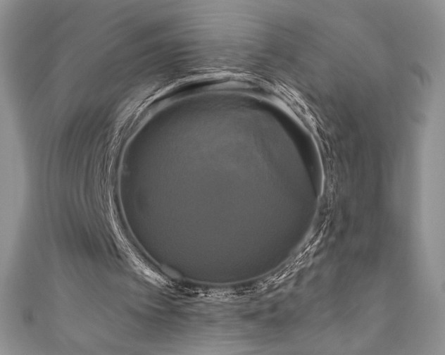 X0000111200097200907011441