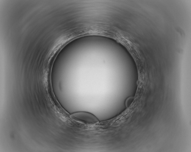 X0000111200098200907011441