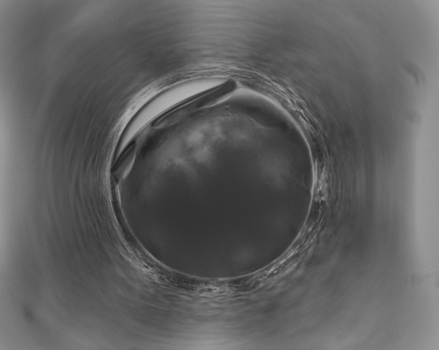 X0000111200099200907011441