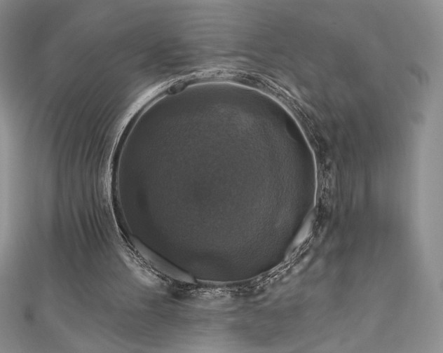 X0000111200100200907011441