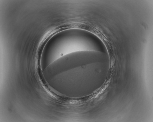 X0000111200101200907011441