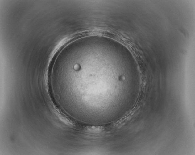 X0000111200102200907011441