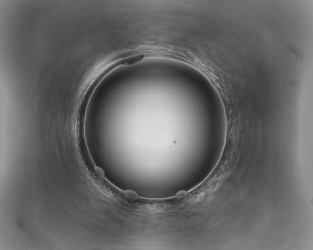 X0000111200103200907011441