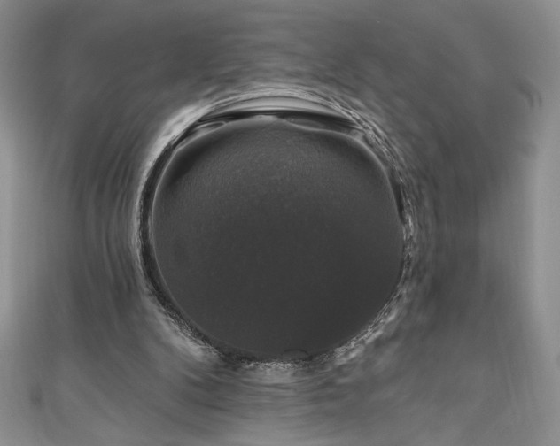 X0000111200104200907011441