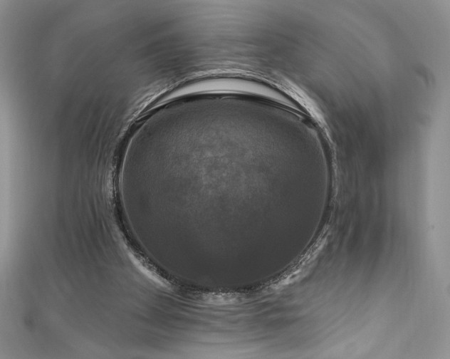 X0000111200105200907011441