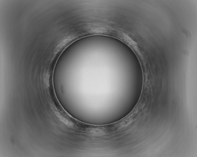 X0000111200106200907011441