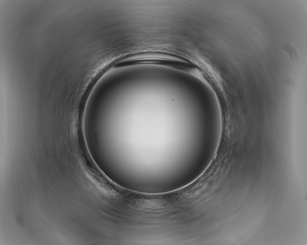 X0000111200107200907011441