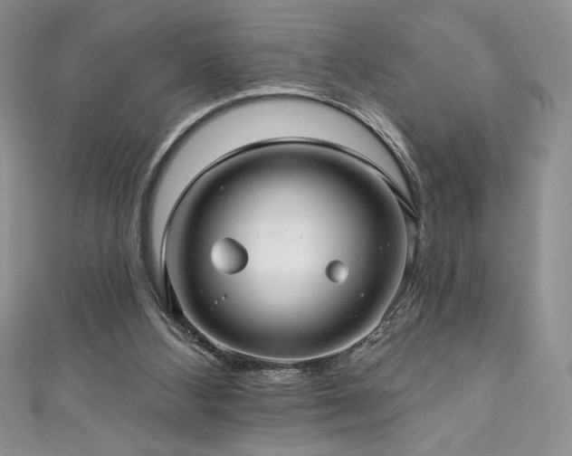 X0000111200108200907011441