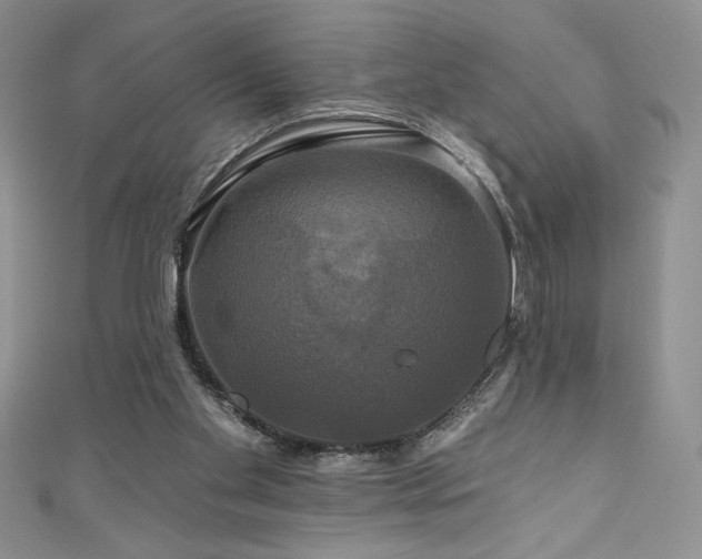 X0000111200109200907011441