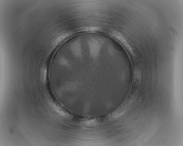 X0000111200110200907011441