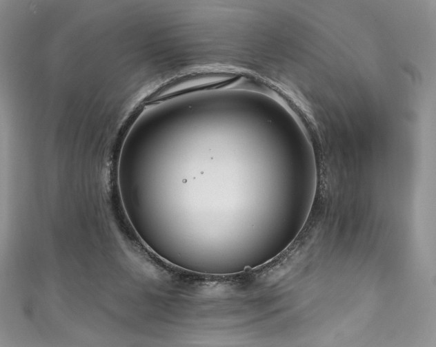 X0000111200111200907011441