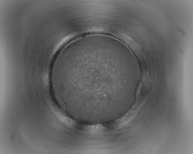 X0000111200112200907011441