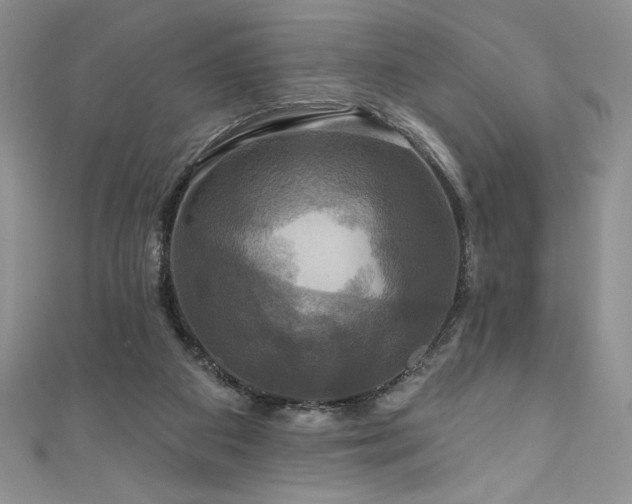 X0000111200113200907011441