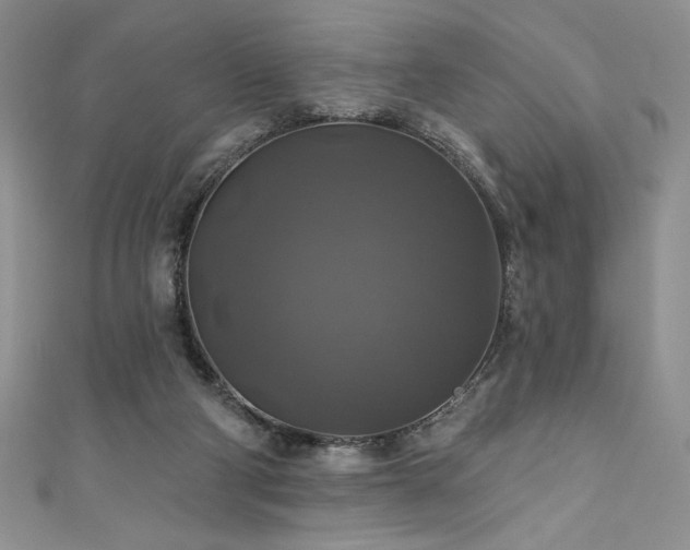 X0000111200114200907011441