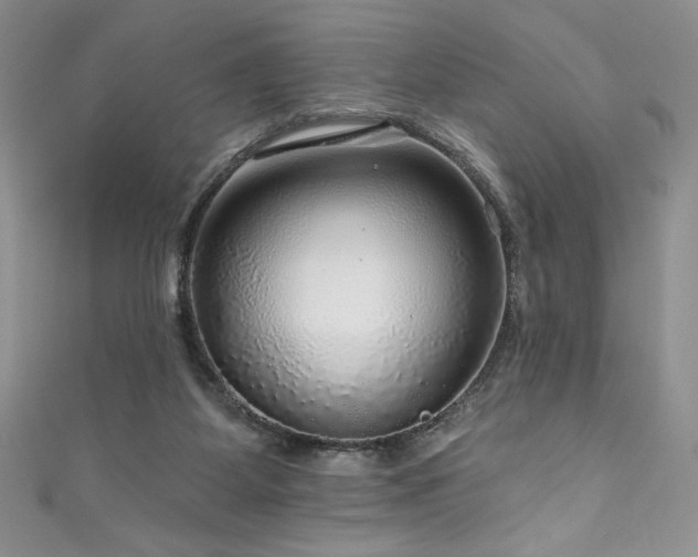 X0000111200115200907011441