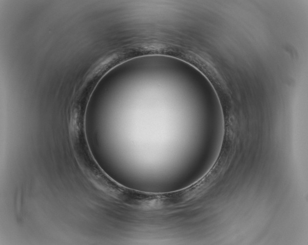 X0000111200116200907011441