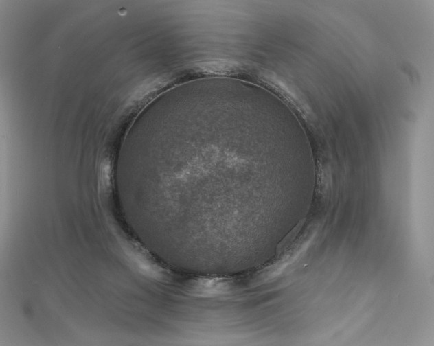 X0000111200117200907011441