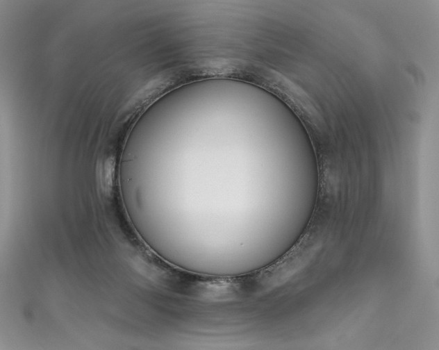 X0000111200118200907011441