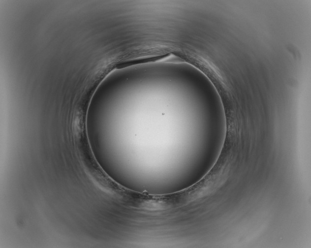 X0000111200119200907011441