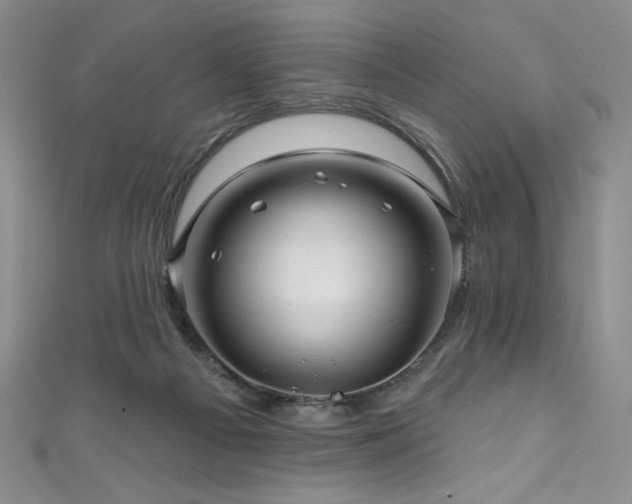 X0000111200121200907011441